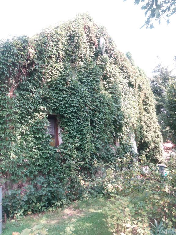 Pension Jana Tatrovice Экстерьер фото